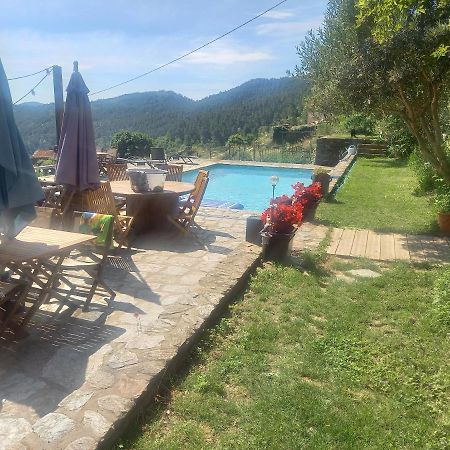 Le Mercou En Cevennes Saint-Martin-de-Boubaux Εξωτερικό φωτογραφία