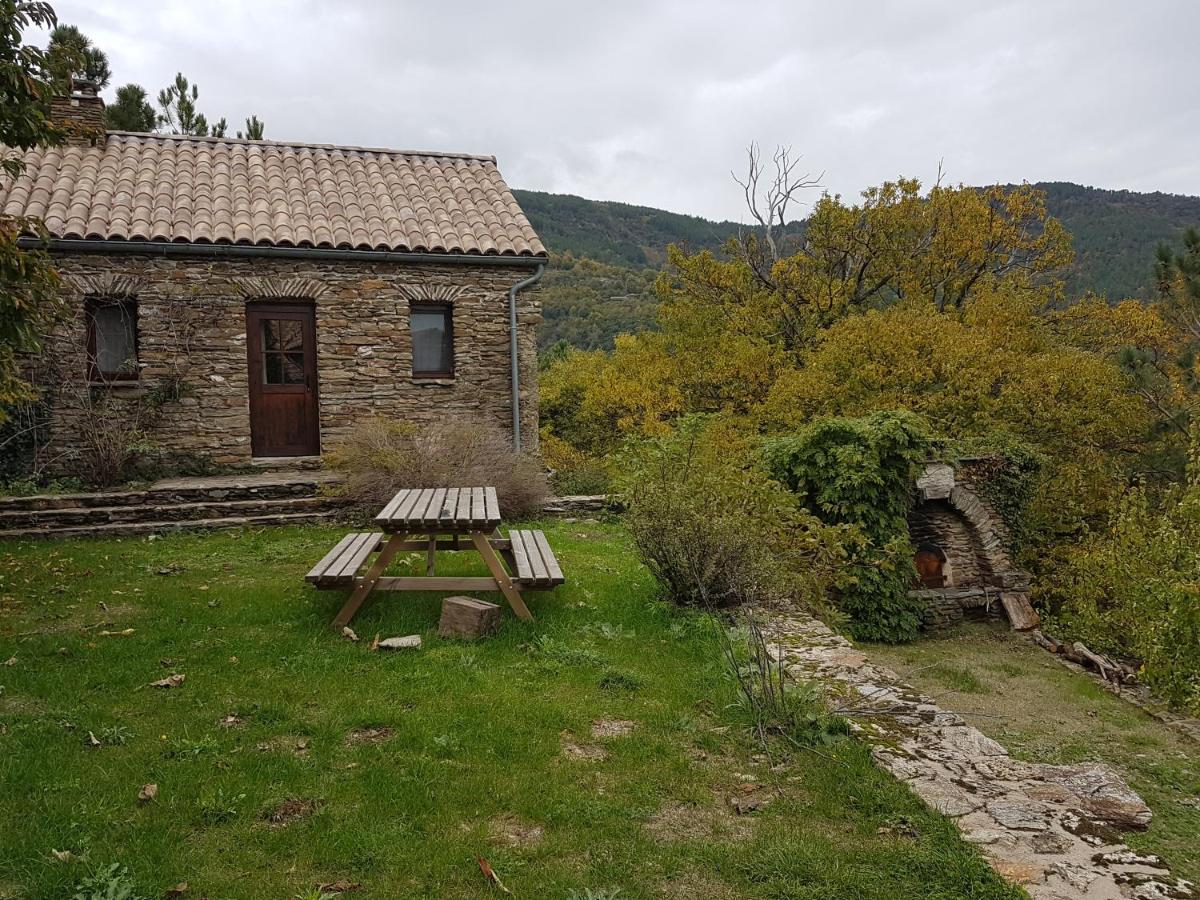 Le Mercou En Cevennes Saint-Martin-de-Boubaux Εξωτερικό φωτογραφία