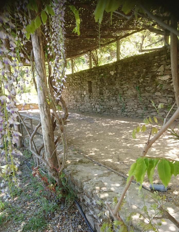 Le Mercou En Cevennes Saint-Martin-de-Boubaux Εξωτερικό φωτογραφία