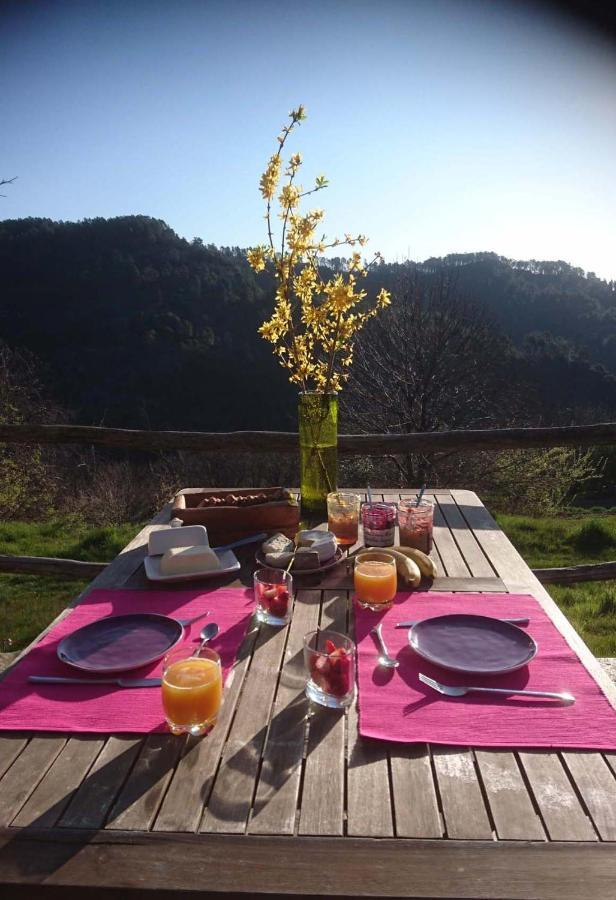Le Mercou En Cevennes Saint-Martin-de-Boubaux Εξωτερικό φωτογραφία